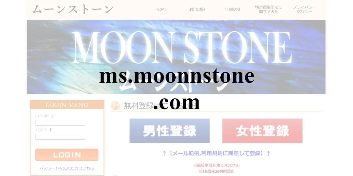 ms.moonnstone.com