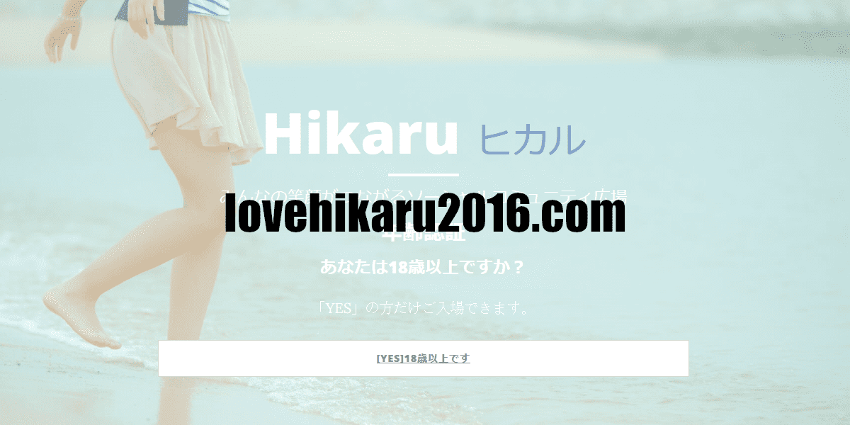 lovehikaru2016.com