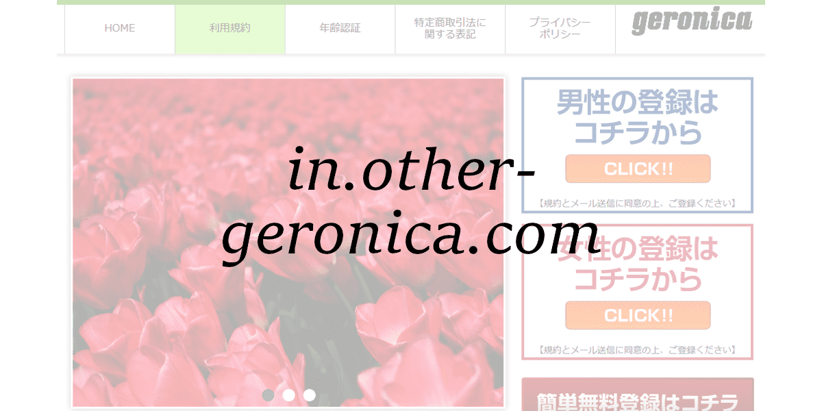 in.other-geronica.com
