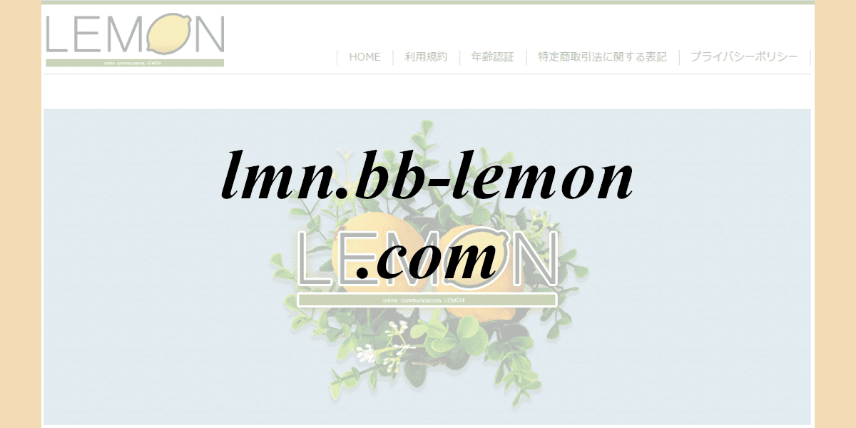 lmn.bb-lemon.com