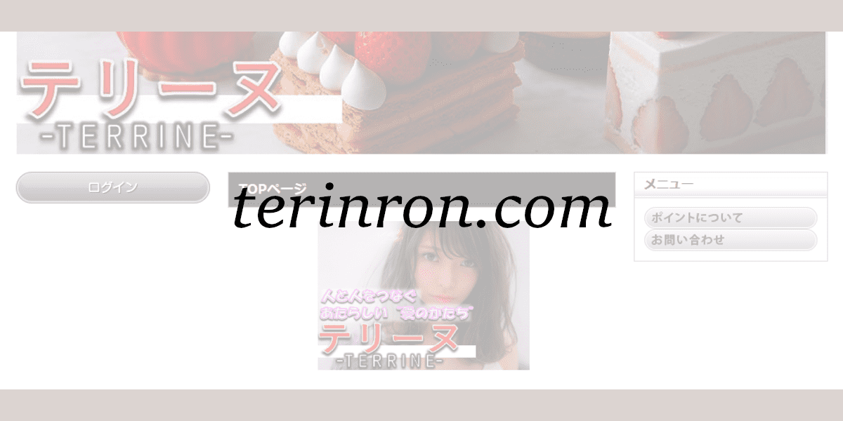 terinron.com