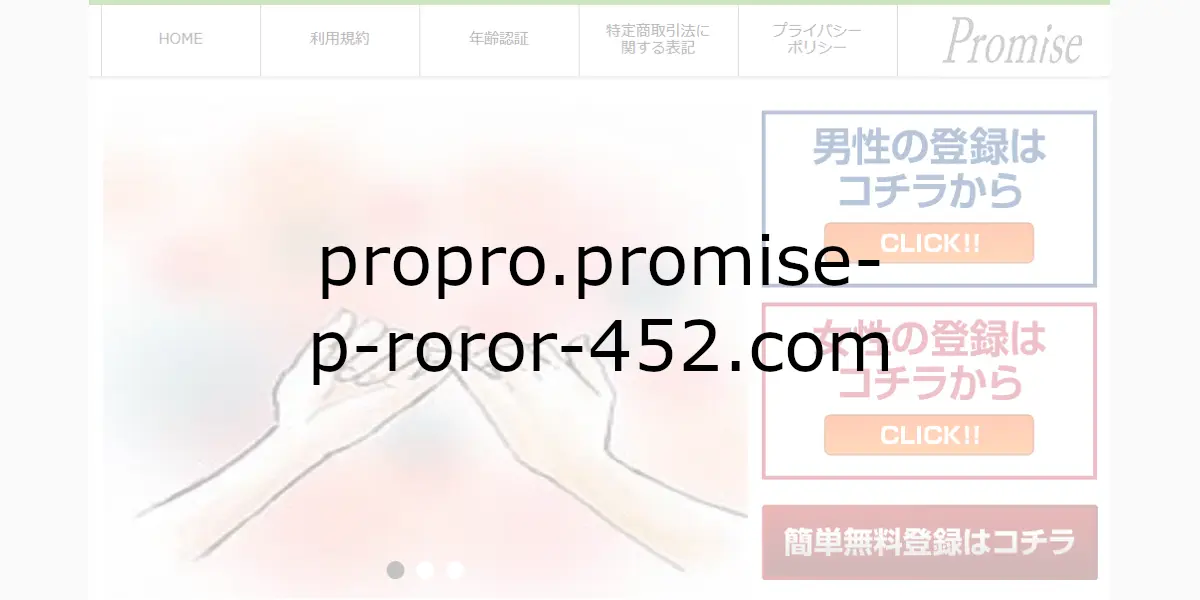 propro.promise-p-roror-452.com
