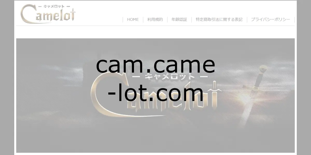 cam.came-lot.com