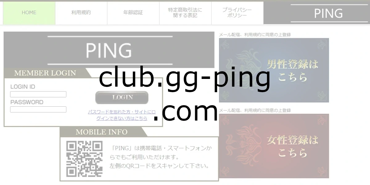 club.gg-ping.com