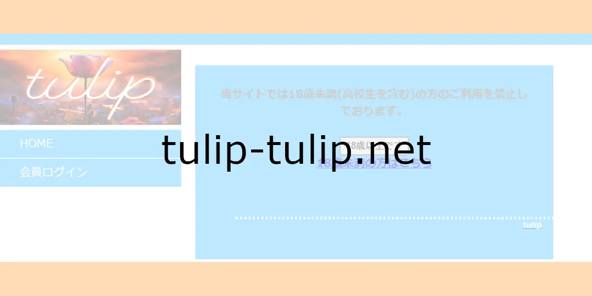 tulip-tulip.net