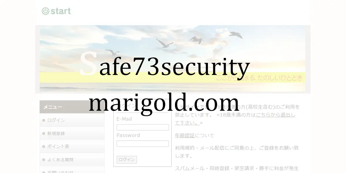 safe73securitymarigold.com