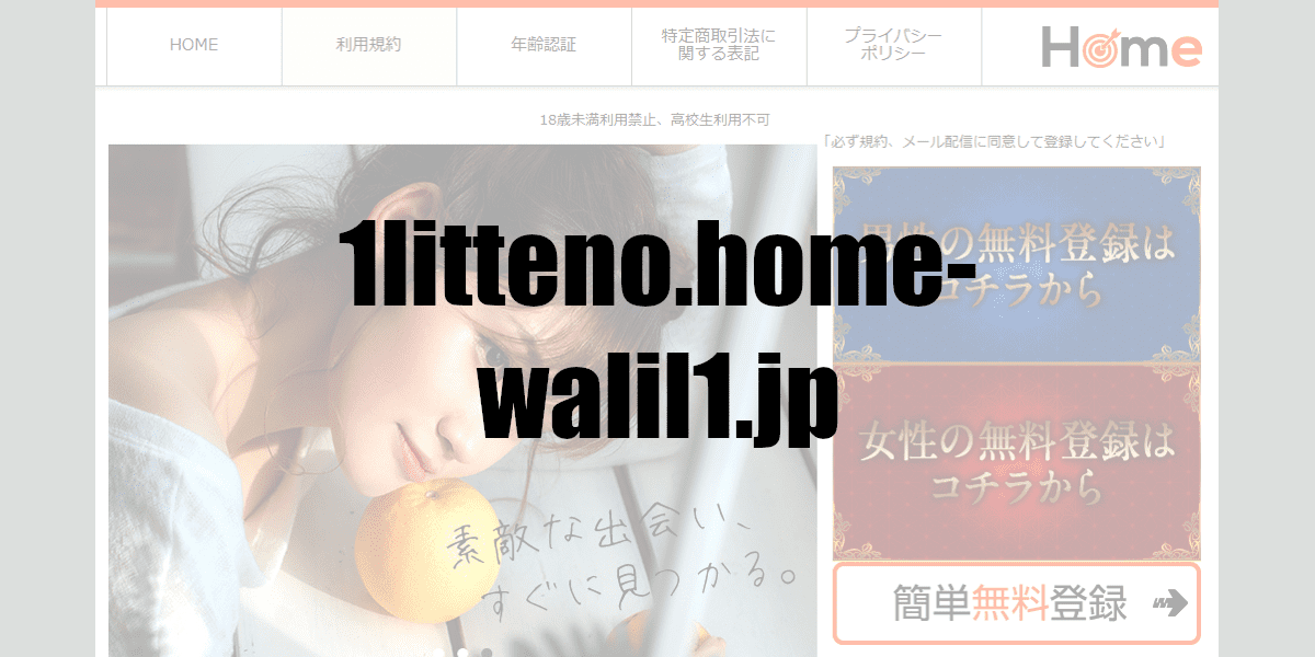 1litteno.home-walil1.jp