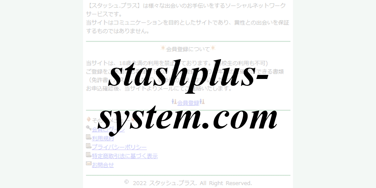 stashplus-system.com