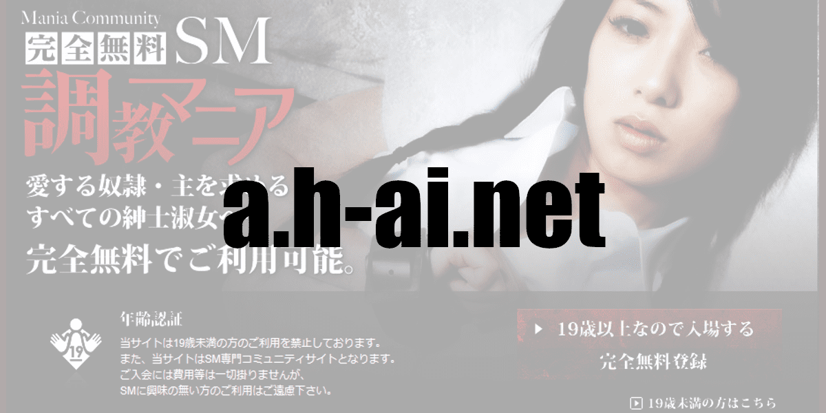 a.h-ai.net